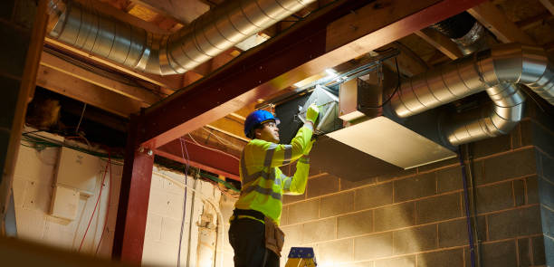 Best Air Duct Mold Removal  in Gadsden, AL