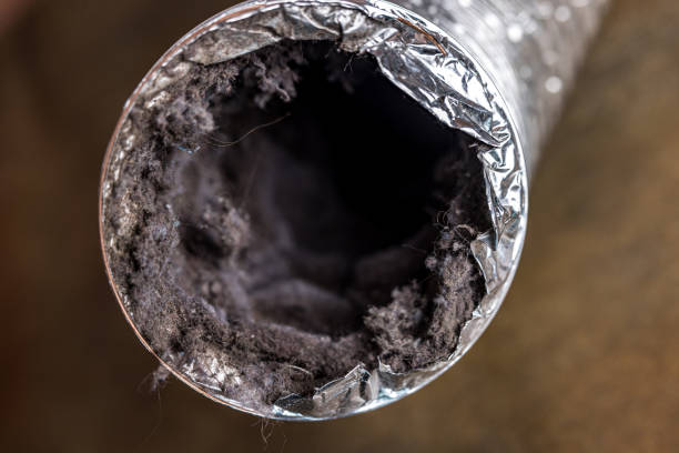 Best Ventilation Cleaning Services  in Gadsden, AL