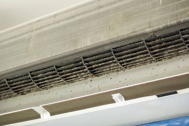 Best Affordable Duct Cleaning Services  in Gadsden, AL
